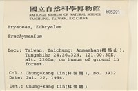 登錄號:B00005293藏品圖，第2張