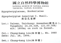 南亞孔雀蘚藏品圖，第2張