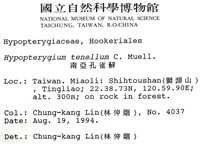 南亞孔雀蘚藏品圖，第2張