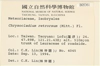 登錄號:B00005361藏品圖，第2張