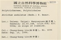 仙鶴蘚藏品圖，第2張