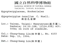 南亞孔雀蘚藏品圖，第2張