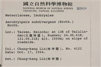 大灰氣蘚藏品圖，第2張