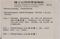 大灰氣蘚藏品圖，第2張