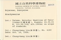 登錄號:B00005438藏品圖，第2張