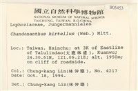 齒邊廣萼苔藏品圖，第2張