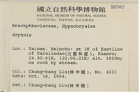 登錄號:B00005462藏品圖，第2張