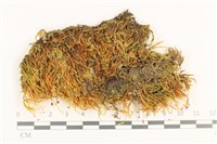 登錄號:B00005462藏品圖，第1張