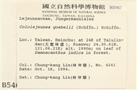 登錄號:B00005467藏品圖，第2張