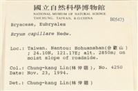 細葉真蘚藏品圖，第2張