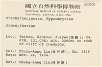 登錄號:B00005509藏品圖，第2張