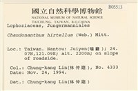 齒邊廣萼苔藏品圖，第2張