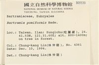 登錄號:B00005530藏品圖，第2張