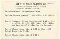 登錄號:B00005543藏品圖，第2張