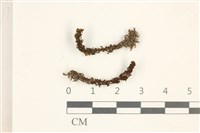 登錄號:B00005553藏品圖，第1張