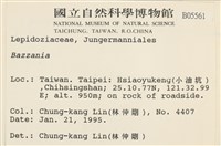 登錄號:B00005561藏品圖，第2張