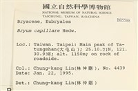 細葉真蘚藏品圖，第2張