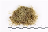 登錄號:B00005600藏品圖，第1張