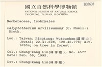 登錄號:B00005603藏品圖，第2張