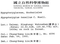 南亞孔雀蘚藏品圖，第2張
