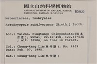 大灰氣蘚藏品圖，第2張