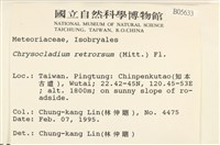 登錄號:B00005633藏品圖，第2張