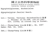 東亞孔雀蘚藏品圖，第2張