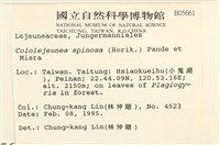 登錄號:B00005661藏品圖，第2張