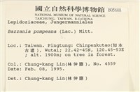 登錄號:B00005688藏品圖，第2張