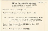 登錄號:B00005705藏品圖，第2張