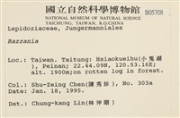 登錄號:B00005708藏品圖，第2張