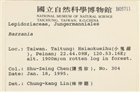 登錄號:B00005711藏品圖，第2張