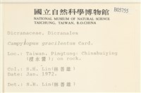 登錄號:B00005755藏品圖，第2張