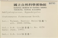 登錄號:B00005763藏品圖，第2張