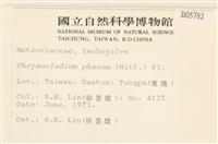 登錄號:B00005782藏品圖，第2張