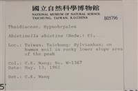 山羽蘚藏品圖，第2張