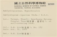 登錄號:B00005800藏品圖，第2張