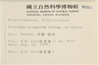 卷葉仙鶴蘚藏品圖，第2張