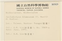 登錄號:B00005829藏品圖，第2張