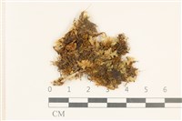 登錄號:B00005829藏品圖，第1張