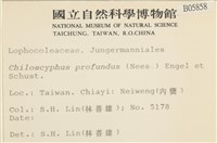 登錄號:B00005858藏品圖，第2張