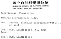 葫蘆蘚藏品圖，第2張