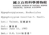 南亞孔雀蘚藏品圖，第2張