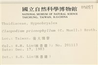 登錄號:B00005887藏品圖，第2張