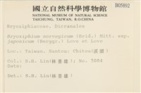 登錄號:B00005892藏品圖，第2張