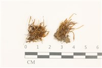 登錄號:B00005892藏品圖，第1張