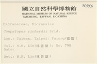 節莖曲柄蘚藏品圖，第2張