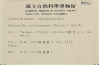 登錄號:B00005923藏品圖，第2張