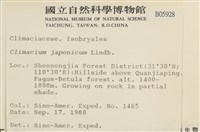 登錄號:B00005928藏品圖，第2張