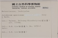 登錄號:B00005943藏品圖，第2張